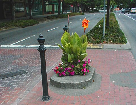 The smallest park in the world: Mill Ends Park